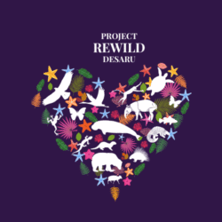 ReWild Malaysia