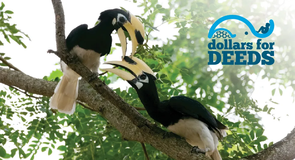 About Us JungleWalla & Anantara