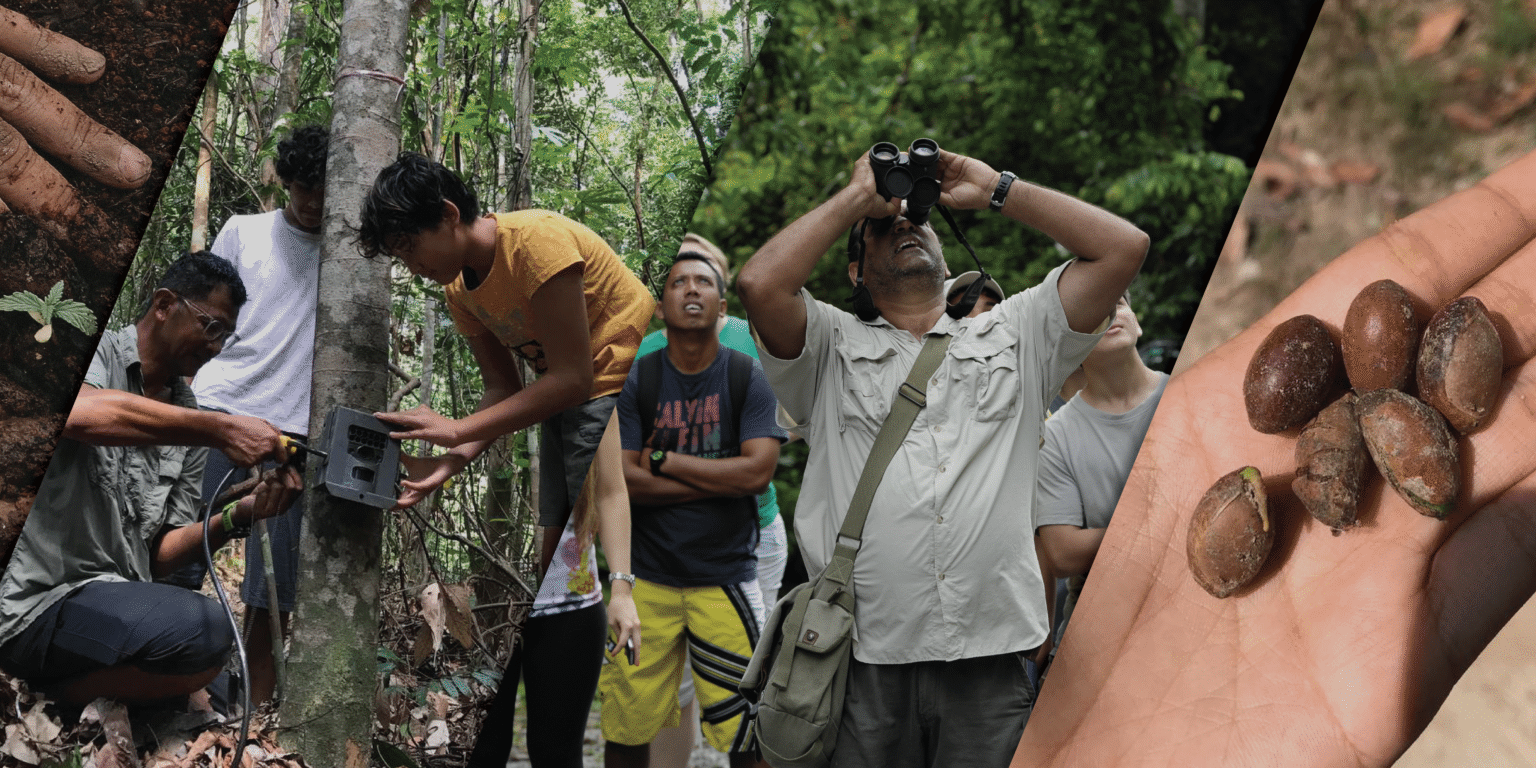 About The ReWild Project – ReWild Malaysia